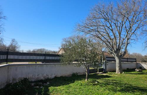 Holiday Home Nena - Photo 21