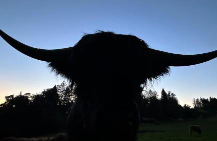 Villa Barka - Foto 41