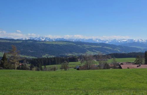 Landhaus Eibelesee - Foto 10