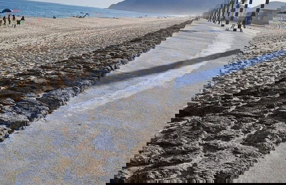 Rua Professor Nelson Rabello - Foto 34