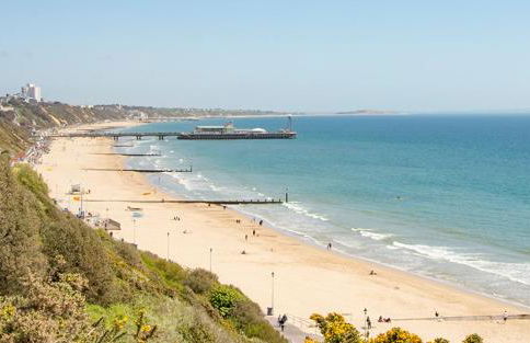 Shepherds Hut with Scandinavian Hot Tub and hydromassager - Foto 35