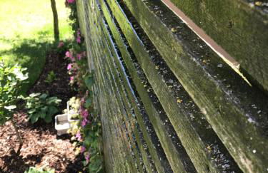 Blackbird´s Nest - Foto 21