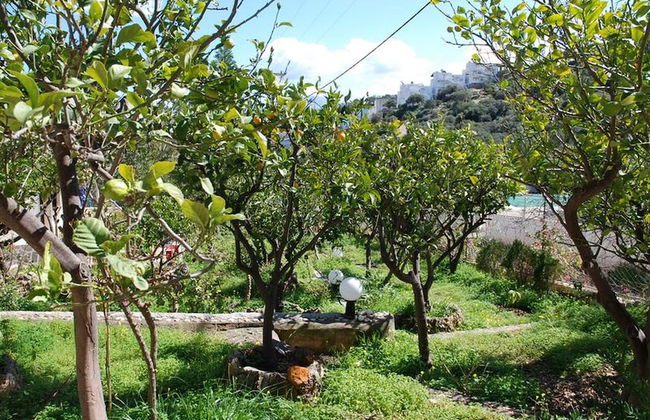 Relaxing Studio With Veranda 'n Garden - Foto 19