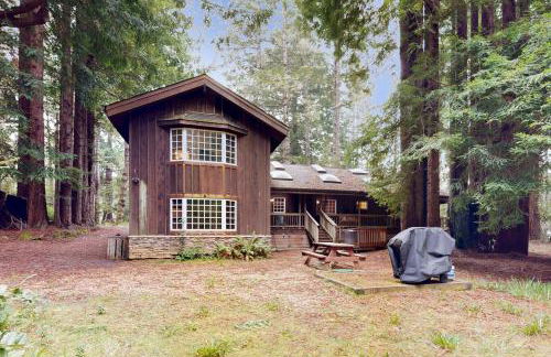 Little River Redwoods - Foto 20