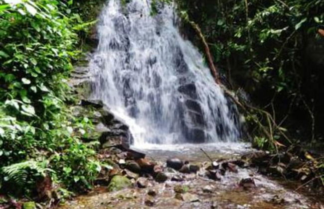 Mindo Eco chalet - Foto 53