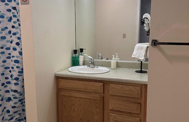 Cute Downtown APT Quick Safe Walk to PPG Arena - Foto 6