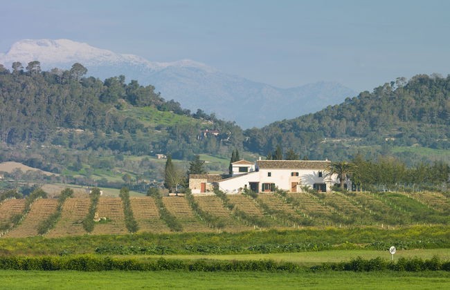 Agroturisme Gossalba - Photo 40