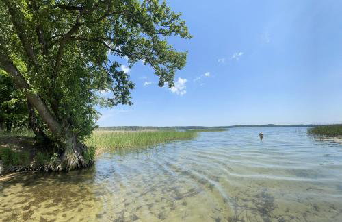 Giżycko-Przerwanki Domki Widok na Mazury - Foto 14