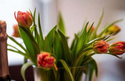 FeWo Paulsen Schobüll - Foto 2