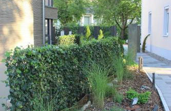 INVITA Natur-Chalets - Familienurlaub im Schwarzwald - Foto 29