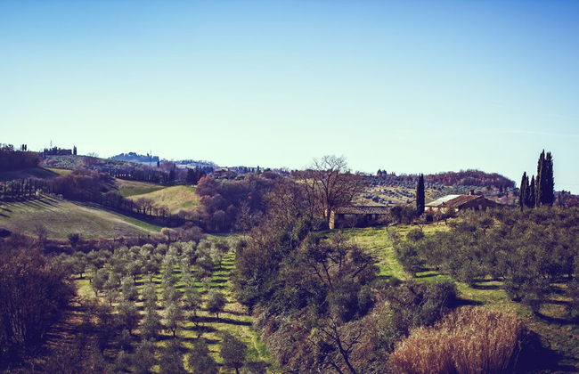 Bio-Agriturismo La Ginestra - Photo 68