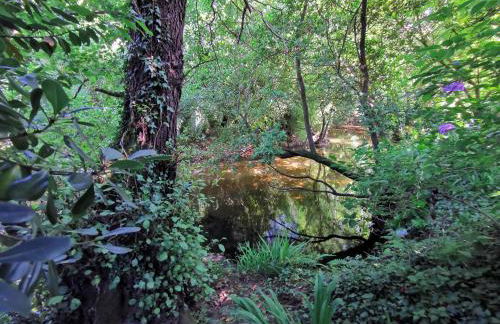 Templo do Río - Foto 37