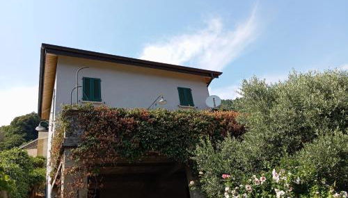 Low-mountain house with terrace and garden, near Lake Maggiore - Foto 4, Garden