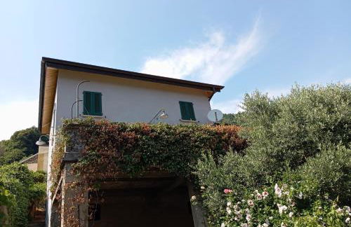 Low-mountain house with terrace and garden, near Lake Maggiore - Foto 4