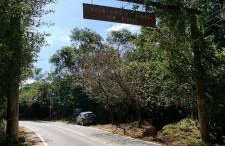 Casa Deck videiras - Foto 13