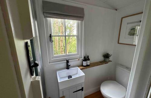 Cornwall Woodland Shepherd's Hut with Hot Tub - Deirdres Hut - Foto 37