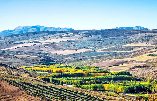 Rural Cacin - Foto 28