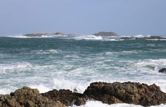 Shell Hill Deluxe Apartment in Coleraine - Foto 33