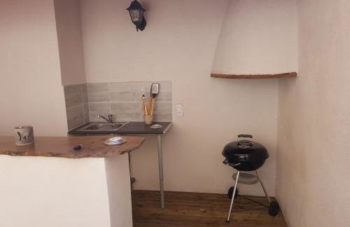 Le Leon d'or - Foto 2