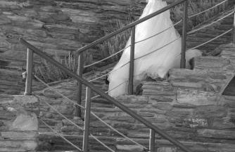 Aegean Castle Andros - Adults Only - Foto 84