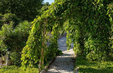 QUINTA do SOUTO BARCIADEMERA - Foto 48