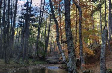 La casa in Sila di Romeo e Zietta - Foto 2