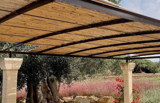 Masseria Sottomasi - Foto 41