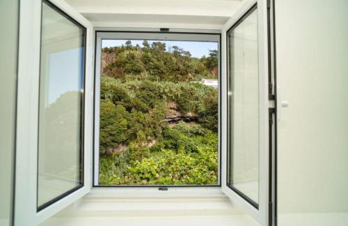 H2O - próximo das melhores praias da costa sul - Photo 29