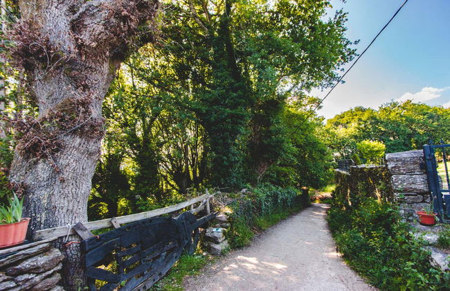 Caminho de Santiago francês em 7 dias - Foto 3