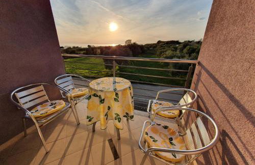 Lavanda Samarin - Foto 7