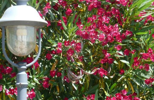 Agriturismo Annibale - Foto 36