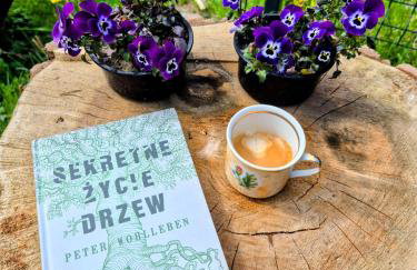 Opawski Zakątek 43 - Foto 11