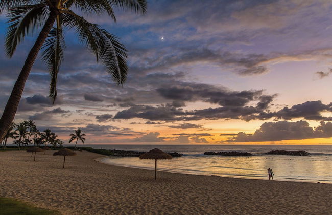 Hale Leilani Ko Olina Beachfront w/ Views! - Photo 23