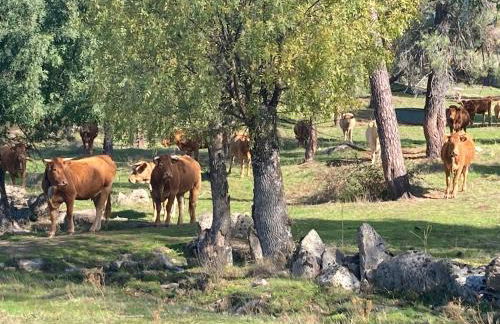 Casa Rural Aventura I - Photo 34