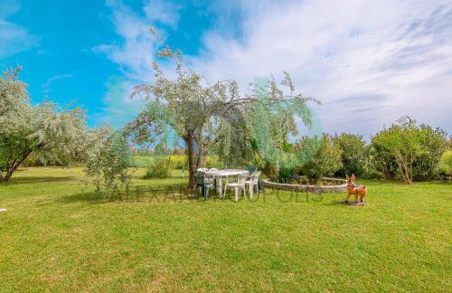 Harmony Hideaway - Foto 64