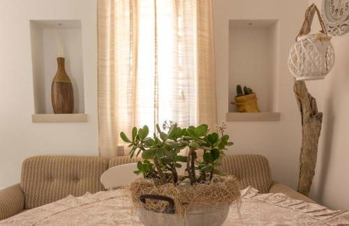 Stella Bianca - Foto 37