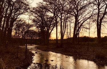 VINTAGE RIVER CAMP CABIN! PRIVATE RIVER ACCESs! - Foto 12