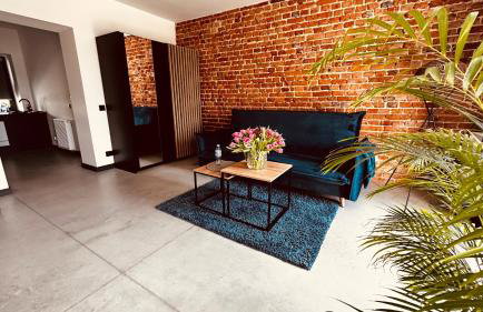 Apartamenty Gliwice Staromiejska 65 - Foto 16