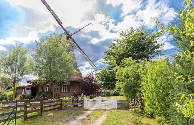 Wohnung in Tessmannsdorf mit Garten - Foto 35
