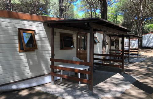 Buona Mobile Homes on Camping Mare e Pineta - Foto 48