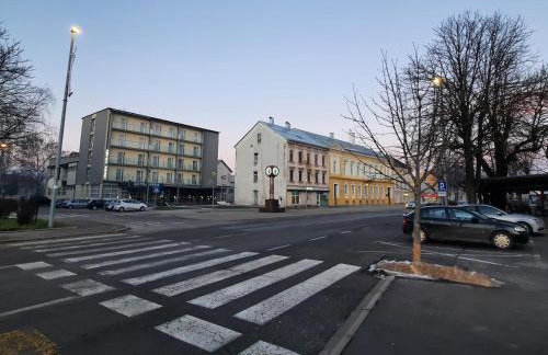 Apartman Twins Self Check in & Self Check Out - Foto 48