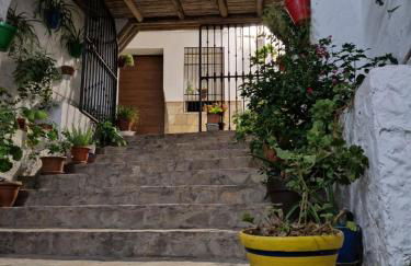 El Pitijopo - Foto 25