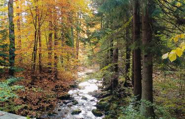 Apartament nad Potokiem - Foto 17