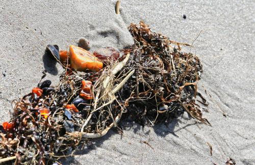 Das DÜNENHAUS - Foto 25