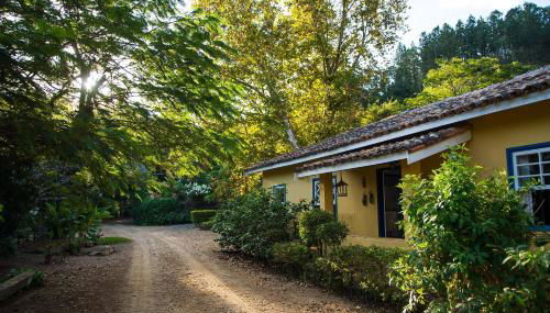 Fazenda Santa Thereza - Itapira - Foto 3, Garden