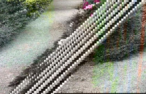 Appartement Cosy Mâcon - Foto 24