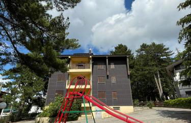 NadSan Mountain House - Photo 33