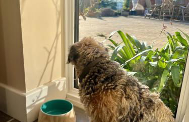 Chiltern Studio - Foto 24