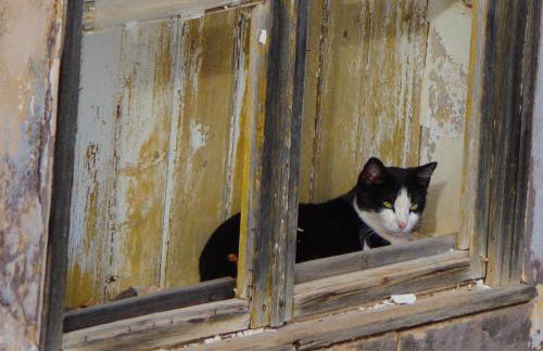 Casa Margarida Azul - Photo 40