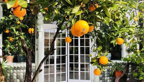 Beautiful Small House in Algarve, Portugal - Foto 2